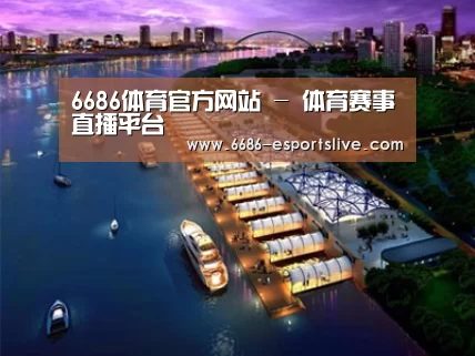 案例展示八