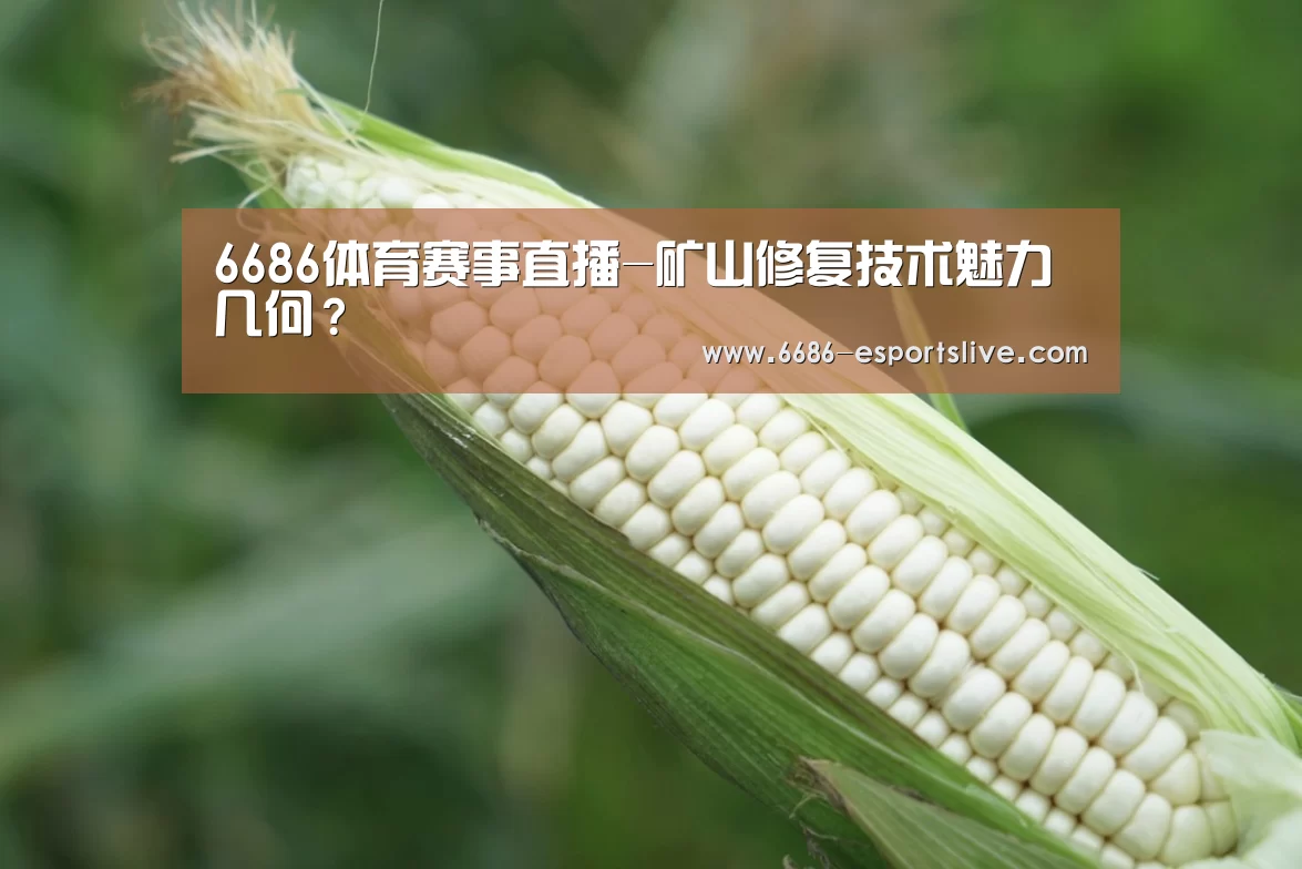 6686体育赛事直播-矿山修复技术魅力几何?(图1) 6686电竞竞猜