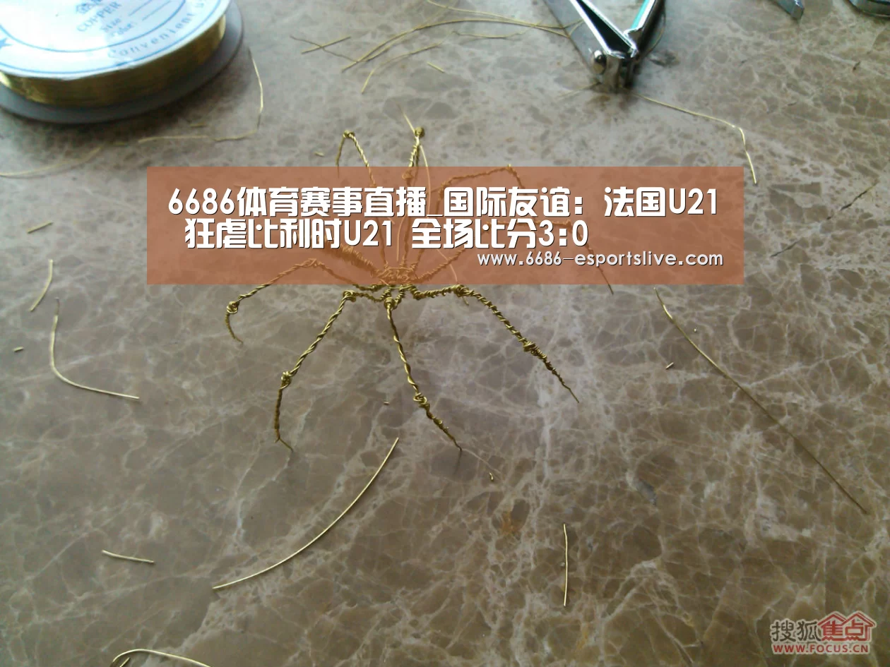 6686体育赛事直播_国际友谊: 法国U21 狂虐比利时U21 全场比分3:0(图3) 6686体育赛事直播