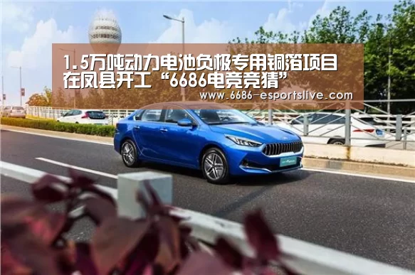 1.5万吨动力电池负极专用铜箔项目在凤县开工“6686电竞竞猜”(图3) 6686体育赛事直播